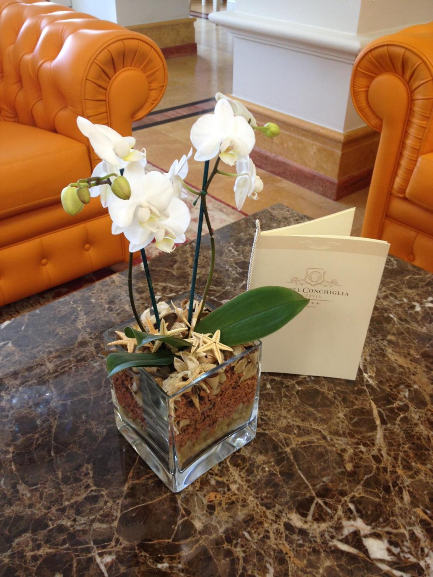 Hotel Conchiglia Cervia Ngoại thất bức ảnh